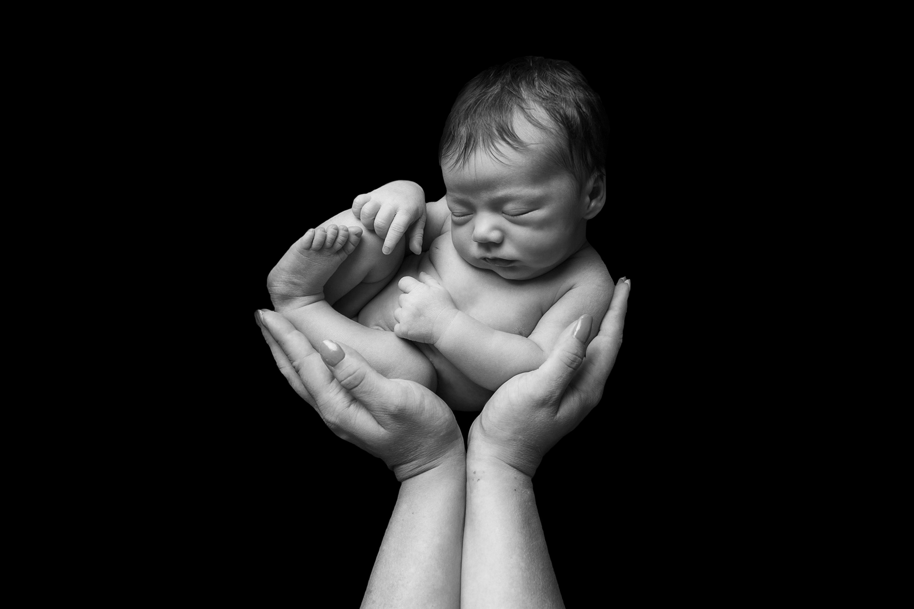 Immie black & white in hands Immie black & white in hands